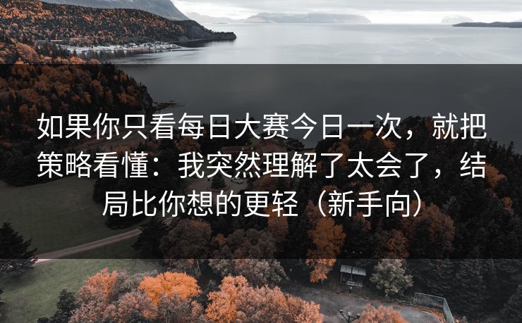 如果你只看每日大赛今日一次，就把策略看懂：我突然理解了太会了，结局比你想的更轻（新手向）